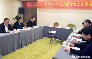 薩納斯與龐沃電力強強聯合，開啟海外新能源技術服務新篇章