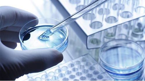 龍池牡丹 緊抓二產，深挖科研，以技術服務驅動牡丹精品駛入市場藍海